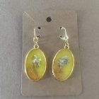 Yellow Orange Oval Earrings