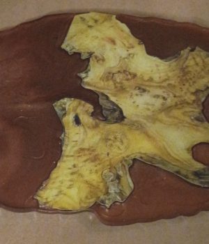 Wood grain resin platter