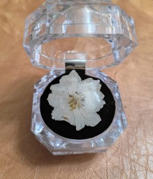 Dried White Flower with Resin